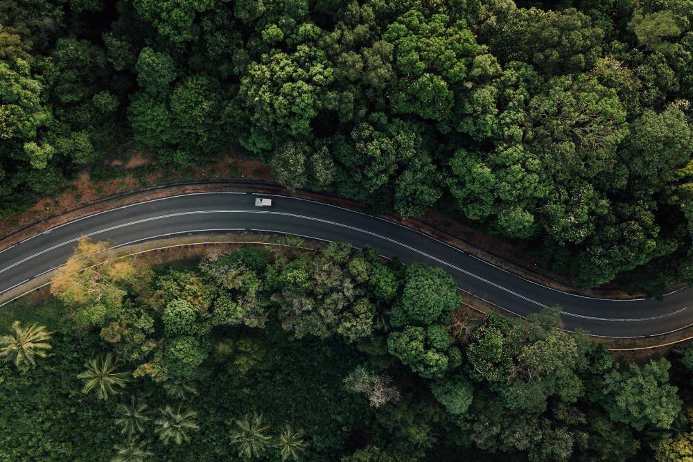 An ariel view of a Ford EV driving along a winding forest road.